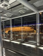 IMG_7889.jpeg