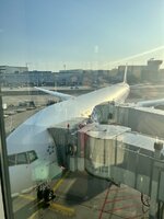 IMG_7897.jpeg