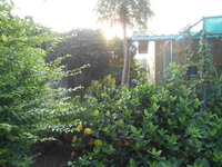 DSCN0071.JPG
