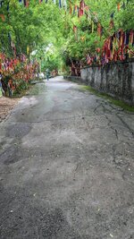 PXL_20230529_032526319.jpg