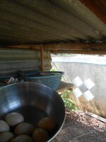 DSCN0015~2.JPG