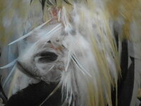 DSCN0175.JPG
