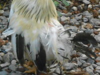 DSCN0169.JPG