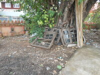 DSCN0261.JPG