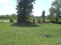 DSCN0362.JPG