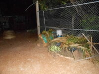 DSCN9694.JPG
