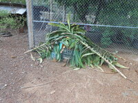 DSCN9464.JPG