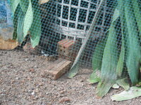 DSCN9465.JPG