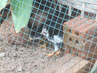 DSCN9466.JPG