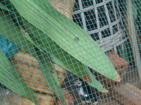 DSCN9467.JPG