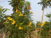 DSCN9698.JPG