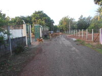 DSCN9999.JPG