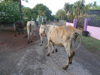 DSCN9996.JPG