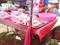 DSCN0054.JPG