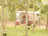 DSCN0462.JPG