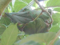 DSCN0697.JPG
