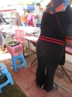 DSCN1029~2.JPG