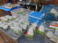 DSCN1036.JPG