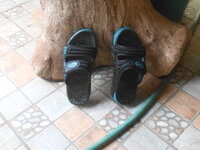 DSCN0596.JPG