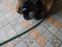 DSCN0595.JPG