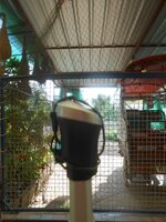 DSCN0410~2.JPG