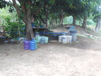 DSCN0516.JPG DSCN0516.JPG