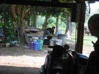 DSCN0525.JPG DSCN0525.JPG