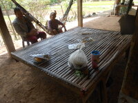DSCN0530.JPG