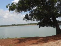 DSCN0565.JPG
