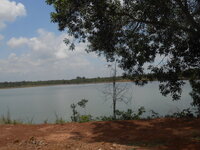 DSCN0566.JPG