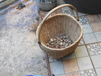 DSCN1003.JPG