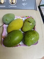 IMG_20230523_184737_108.jpg
