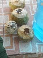 IMG_20220114_170431.jpg