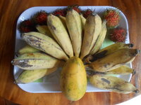 DSCN0925.JPG