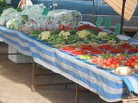 DSCN1059.JPG