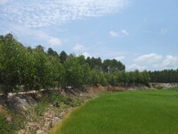 DSCN1156.JPG