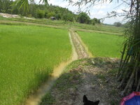 DSCN1154.JPG