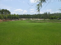 DSCN1155.JPG