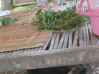 DSCN1211.JPG