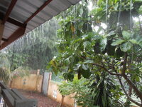 DSCN1221.JPG