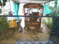DSCN1213.JPG