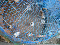 DSCN1582.JPG