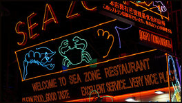 DSC09227.jpg