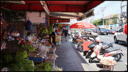 DSC09273.jpg