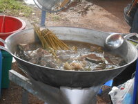 DSCN1550.JPG