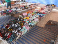 DSCN1542.JPG