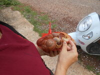 DSCN2088.JPG