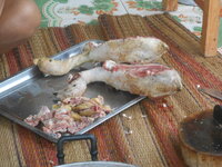 DSCN2032.JPG