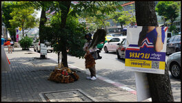 DSC09522.jpg