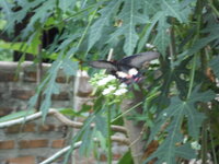 DSCN2254.JPG